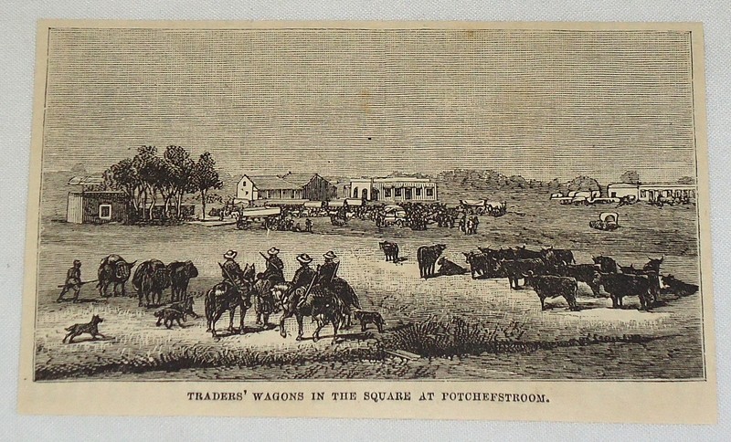 1881 magazine engraving ~ TRADER'S WAGONS AT POTCHEFSTROOM ~ South Africa