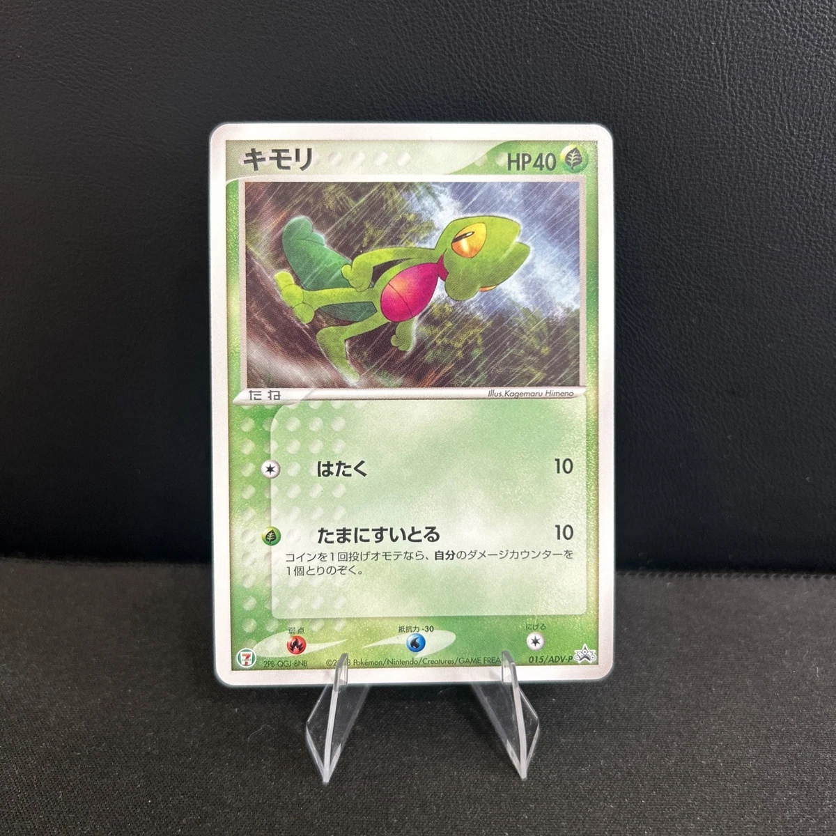 Treecko Pokmon TCG Cards for sale | eBay