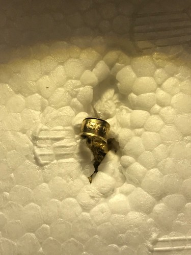 14K Yellow Gold Angel Charm Pendant - Picture 3 of 4
