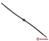 Bremsschlauch Bremsleitung HA Hinten Brembo T 52 062