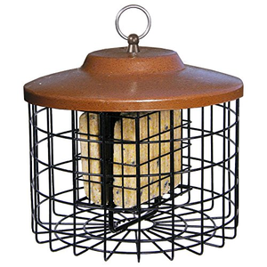 Squirrel Proof Double Suet Feeder Quality Cage Bird Feeder 2 Suet