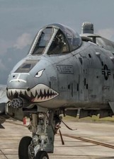 A10 Warthog #102 Print 5 x 7