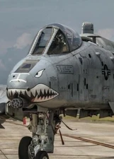 A10 Warthog #102 Print 5 x 7