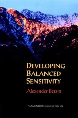 Developing Balanced Sensitivity: Pr... by Berzin, Alexander Paperback / softback