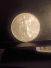 2013 Silver American Eagle 1 oz Brilliant Uncirculated