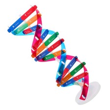  Giocattolo Dna Struttura Molecolare-Modellismo Kit DNA Doppia Elica DNA Insegnativo