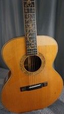Aria Sandpiper Sp-pro Acoustic Guitar