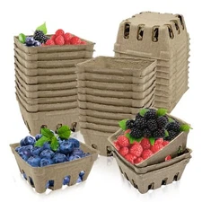 Rainmae 30 Pack Natural Pulp Fiber Berry Basket Molded Berry Basket Produce V...