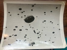 1940  s Vernacular Drop PARATROOPERS Parachutes USAF Military Original Photo