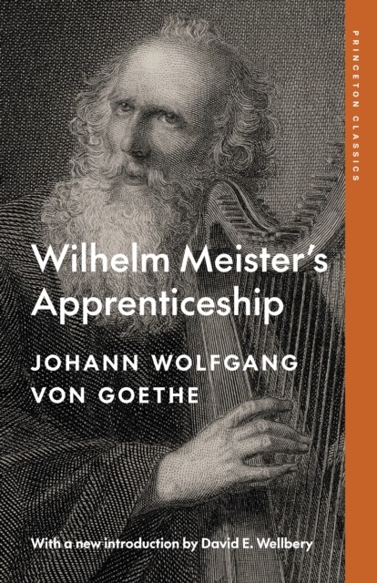 Wilhelm Meister's Apprenticeship by Johann Wolfgang von Goethe (Paperback Book)