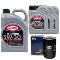 MotoröL Set Compatible 5W-30 Meguin 8 Liter + ÖLfilter FüR Audi A6 Avant RS6 4B5