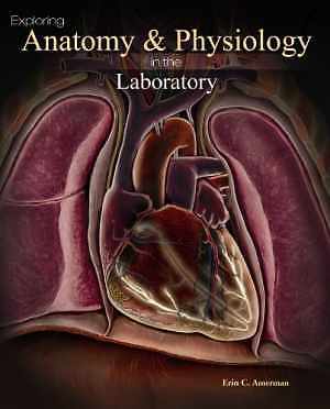 Exploring Anatomy & Physiology in the - Loose Leaf, by Amerman Erin C. - Good o