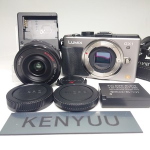 Panasonic Gx1 | eBay