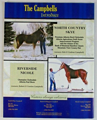 FEATHER AND FETLOCK MAGAZINE VOL.15 #1 BELGIAN CLYDESDALE FEATHER AND FETLOCK MAGAZINE VOL.15 #1 BELGIAN CLYDESDALE
