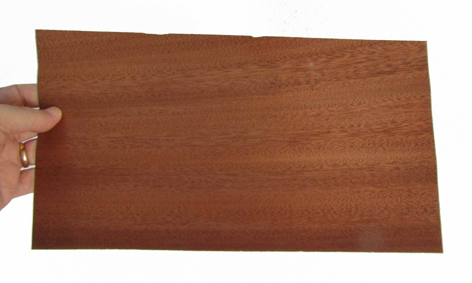 Picture 1