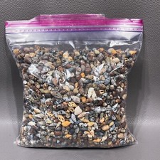 4 Pounds Large Lot Of Assorted Small Seashells 1/2"-3/4" Each Arts  Crafts