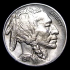 1917-S 2 FEATHERS Error Buffalo Nickel ---- Stunning Details Coin  ----  #PP082