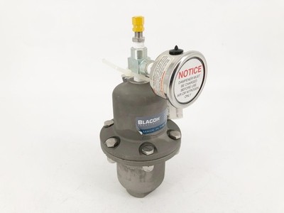 New Blacoh CTS1020B Pulsation Dampener 1/2'' FNPT 300psi - No Box