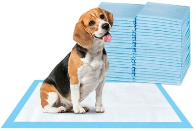blue beagle training pads