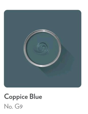 FARROW & BALL LACKPROBE **20MLS**- COPPICE BLUE # G9 DEAD FLAT!