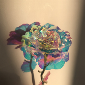 galaxy rose