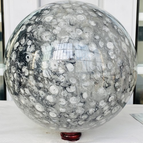 Caracola Natural Cristal Fósil Bola Cuarzo Cristal Esfera Reiki Curación 11400G - Imagen 7 de 12