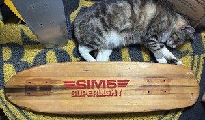 Sims Skateboard Deck | eBay