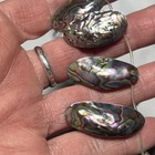 Abalone Shell Briolette Strand 25-35mm Multi-hue — photo 4