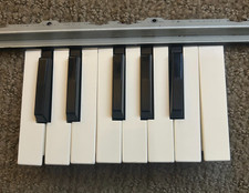 Replacement Keys for Casio MT and CZ-101 Keyboards one full octave 
