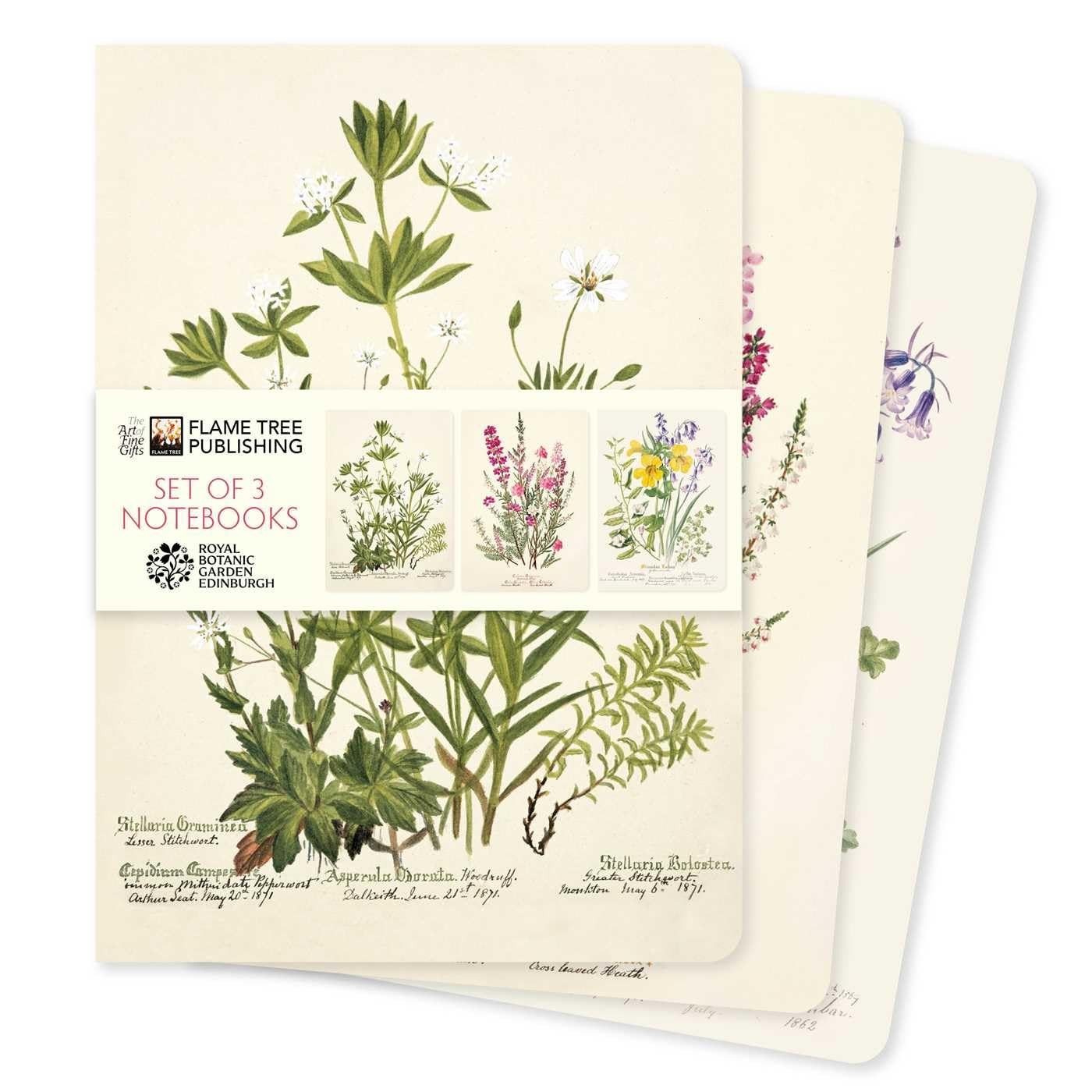 Royal Botanic Gardens Edinburgh Set of 3 Standard Notebooks - Image 6