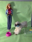 Vintage Mattel Barbie Doll w/ her Afghan Hound Dog Beauty & Accessories