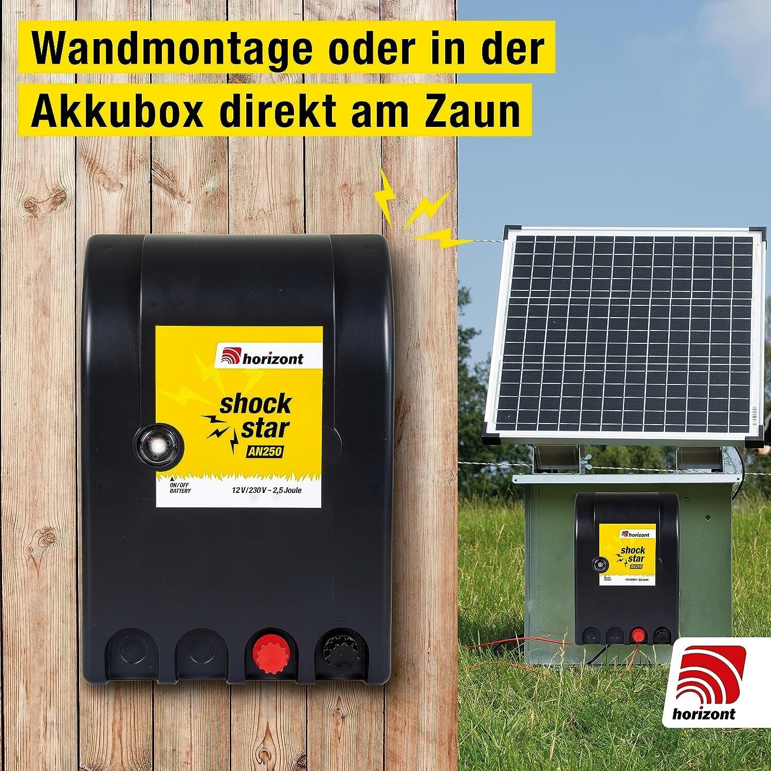 Bild 3 von 6