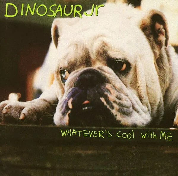 Dinosaur Jr. - Whatever's Cool With Me (12