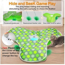 Rechargeable Interactive Cat Toy with Real Mouse