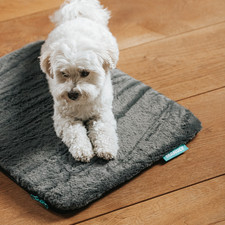 Manuly Set - Selbstaufblasbare Hunde Isomatte mit Kuscheligem Bezug in Anthrazit