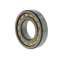 Fag Zylinderrollenlager NUP2309 -E-M1 Id 45Mm Ad 100Mm Breite36Mm 1St./Ve