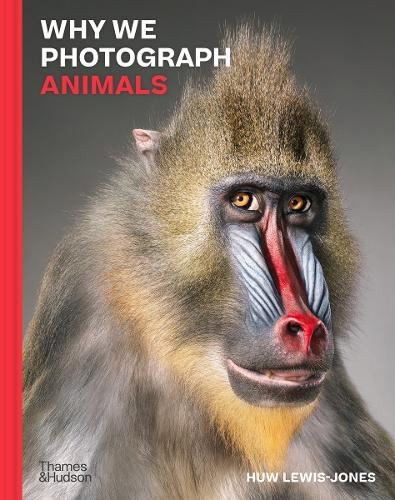 Why We Photograph Animals, Huw Lewis-Jones, New, Hardback