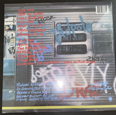 米LP Ramones Subterranean Jungle 9238001 SIRE /00260 Subterranean Jungle - Album by Ramones | Spotify