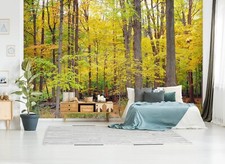 3D Forest Trees B5723 Wallpaper Wall Mural Removable Self-adhesive Amy