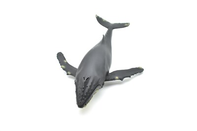 Humpback Whale, Realistic Toy Model Plastic Replica Animal, Kids