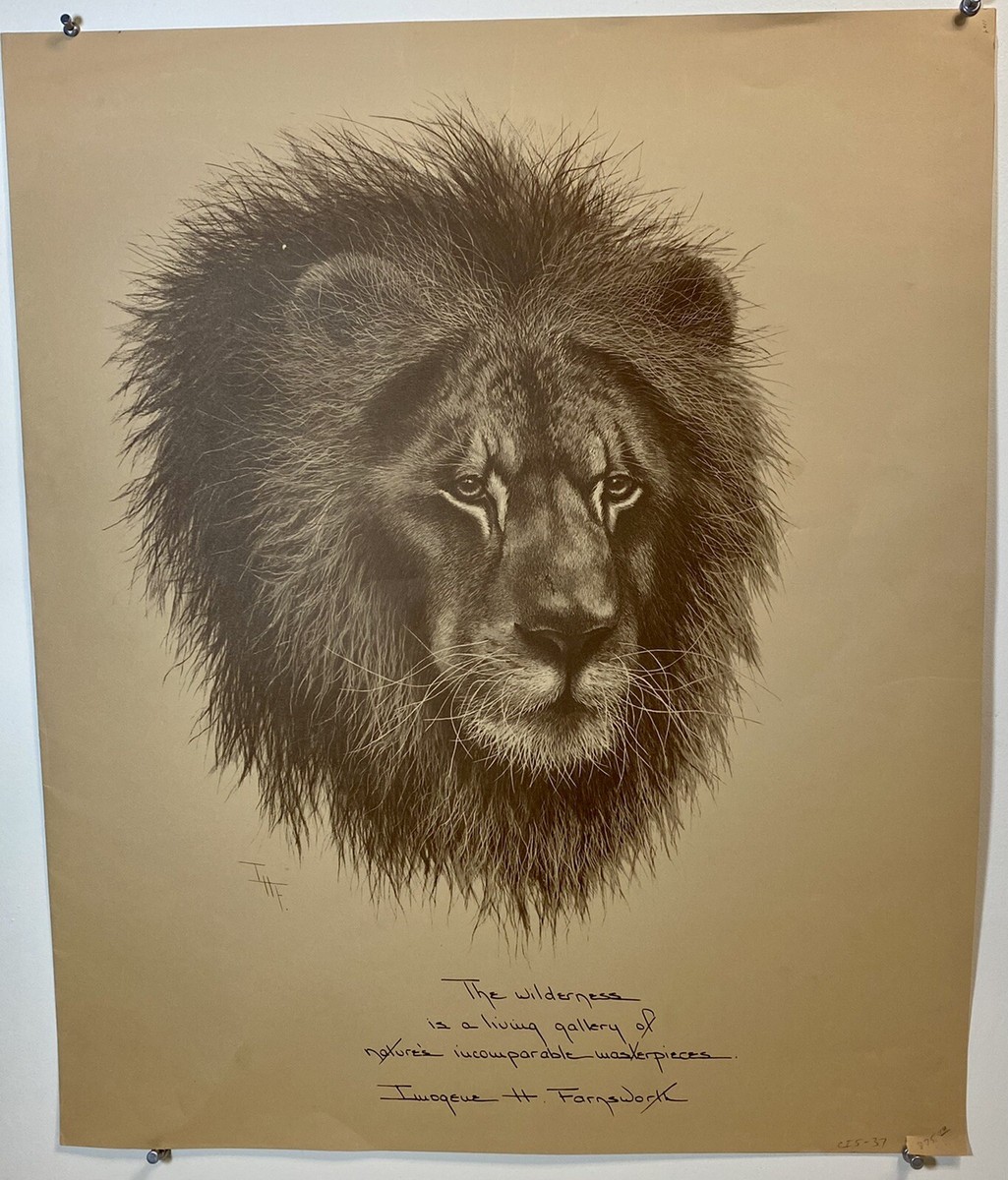 Imogene Farnsworth African Lion Lithograph Unnumbered, 1975