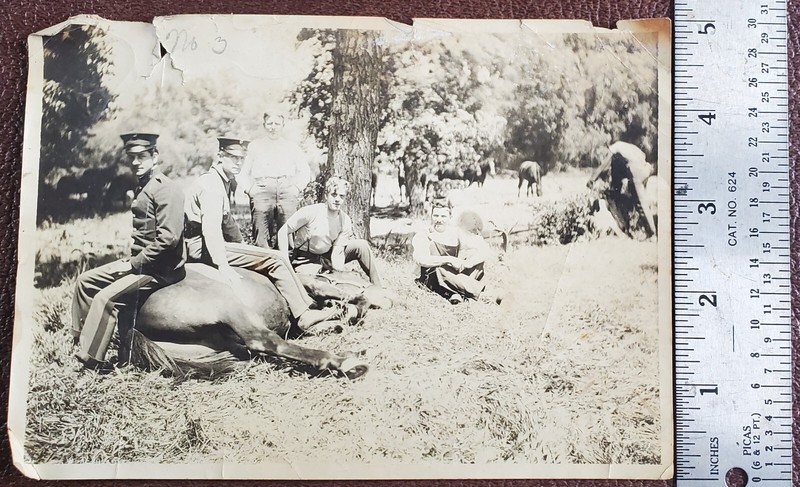 Spanish American War or Later Military Photo. Soldiers with Cavalry Horse. Lot 1