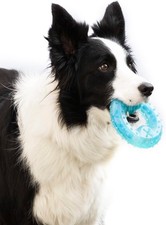 Juguetes para Perros, Mordedor Perro 2 en 1, Perros Accesorios Efecto frío,