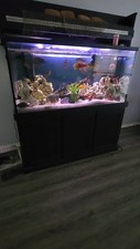 72x25x24 156 Gallon Aquarium with FISH EVERYTHINg Included With Filters F4 / F6