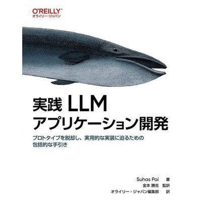 Practical LLM Application Development Guide AI Models Usage For Ages 14+
