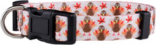 Thanksgiving Dog Collar- Fall Collars for Dogs- Autumn Leaf, Turkey, Pumpkin Pie