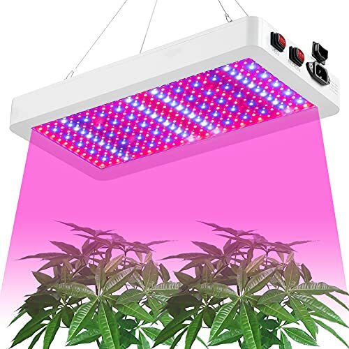 grow lights online