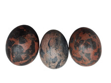3 St. Marmor Eier Ostereier Marmorkugeln Wohndeko Gartendeko Osterdeko  5x7cm