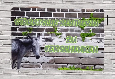 Blechschild Rente Esel Rentnerin Frau Plakat Geschenk Spaß lustig Spruch (F1) - Bild 1 von 2