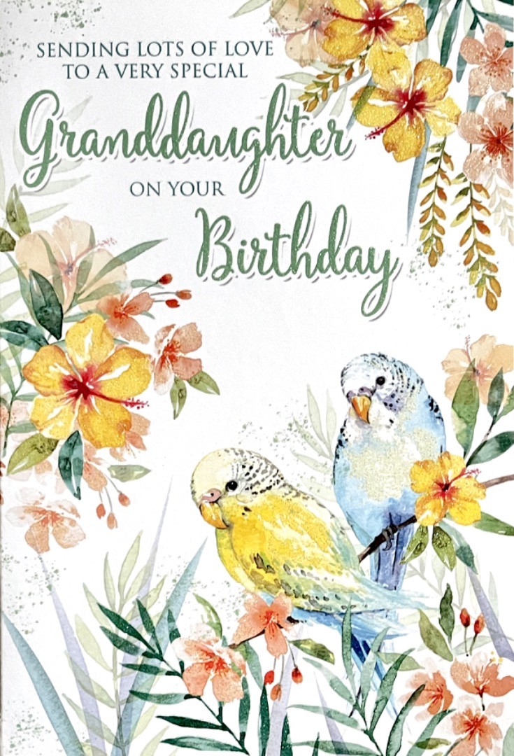 Special Granddaughter Birthday Card Pretty Bird Parakeet Budgies Tropical Flower